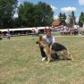 milesevac